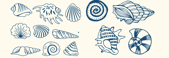  Set of hand drawn seashells drawing ink. Minimalist line art. Summer vacation design elements for trendy prints, label, menu cover. Tropical beach shells. Vector flat illustration.