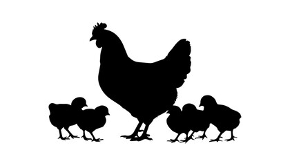 A silhouette illustration of a hen with baby chicks On white background