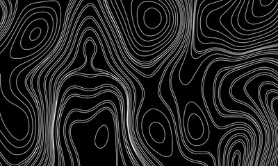 Fototapeta premium Topographic Contour Lines on a Black Background, Minimalist Topographic Contour Map on Black.