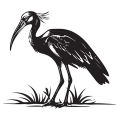 Striking Black and White Ibis Illustration A Detailed Silhouette of a Graceful Bird Standing Tall silhouette