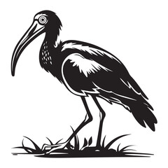 Striking Black and White Ibis Illustration A Detailed Silhouette of a Graceful Bird Standing Tall silhouette