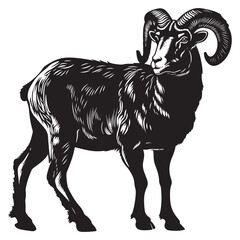 Bighorn sheep silhouette vector, Majestic ram silhouette