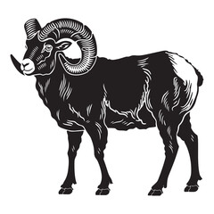 Bighorn sheep silhouette vector, Majestic ram silhouette
