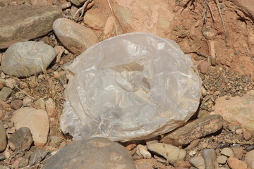 A plastic bag on the ground, Plastic environmental impact