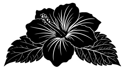 hibiscus flower © SUHEL AHMED