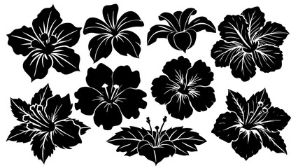 10 different hibiscus flower icon set silhouette © SUHEL AHMED