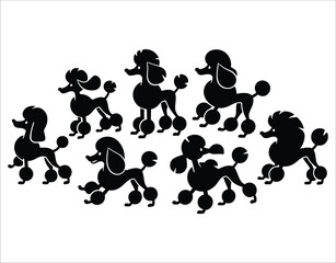 Poodle Dog Standing and Sitting Silhouettes &ndash; Flat Design