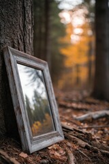 Mirror reflects Autumn trees in a Woodland forest scene