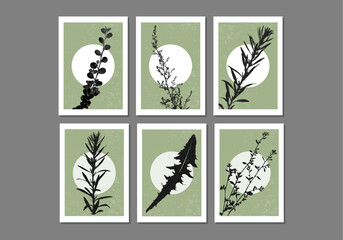 Set of trendy minimalist botanical vector illustration with branch and leaves