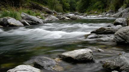 River flows rapidly among smooth stones in the daytime