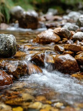 Clear mountain stream cascading over rocks and stones