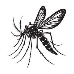 Silhouette Mosquito Black Vector white background illustration Style 