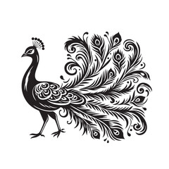 Silhouette Peacock Black Vector white background illustration Style 