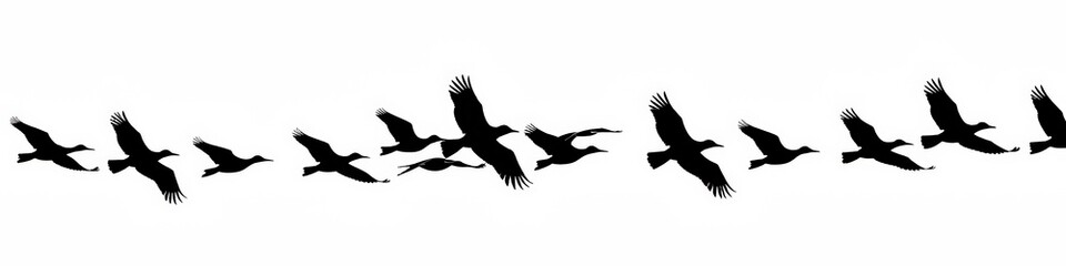 Black Silhouette of Birds Flying in Formation on White Background - Migratory Birds Stock Image - Wildlife and Nature Photography of Bird Flock in Flight_