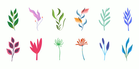 Colorful botanical leaf vector illustration collection set
