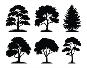 Birch Tree Silhouette for Logos and Badges