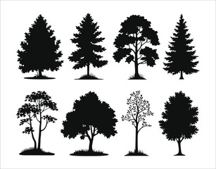 Fototapeta premium Birch Tree Silhouette for Vinyl Cutting