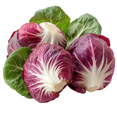 Obraz premium A vibrant assortment of radicchio and leafy greens against a contrasting plane