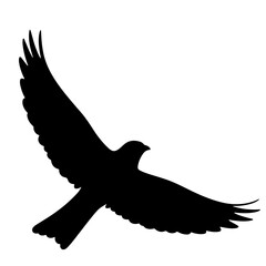A black silhouette of a bird in flight.
