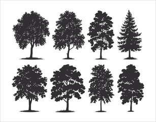 Horizontal Birch Tree Silhouette Banner