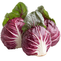 Obraz premium Vibrant cluster of radicchio heads featuring fresh green outer leaves detail