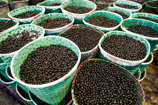 A&ccedil;ai