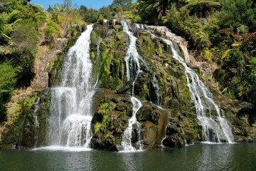 Owharoa Falls Cascading in Sunlight on a Summer Day