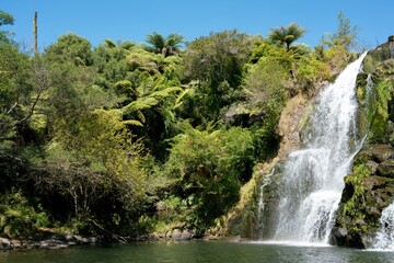 Owharoa Falls Cascading in Sunlight on a Summer Day