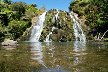 Owharoa Falls Cascading in Sunlight on a Summer Day
