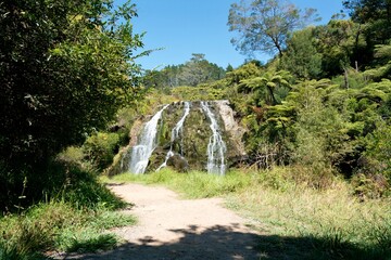 Owharoa Falls Cascading in Sunlight on a Summer Day