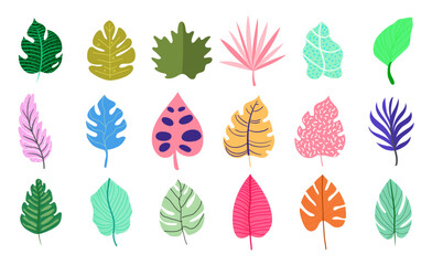 Diverse botanical tropical leaf shapes collection colorful design set, vector illustration