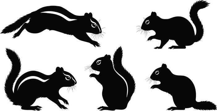 Chipmunk & Squirrel Silhouette Collection: Striped Chipmunks & Bushy-Tailed Squirrels in Various Poses. Woodland Rodent Vector Icons. AI Generative
