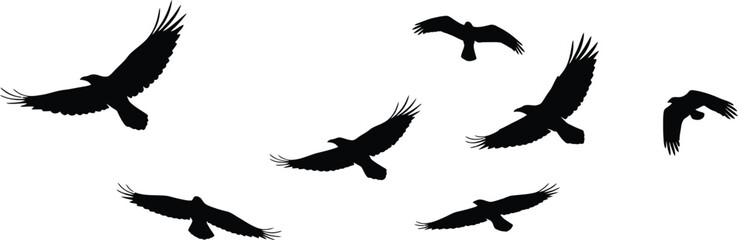 Obraz premium Flock of Black Eagle or Hawk Silhouettes Soaring Freely. Birds of Prey in Flight. Vector Wildlife Icon Set. AI Generative 