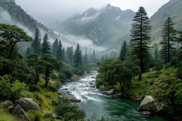 Misty Mountain River Valley with Dense Forest