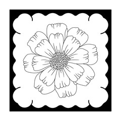 White flower shown on black and white backgrounds with colorful floral design elements