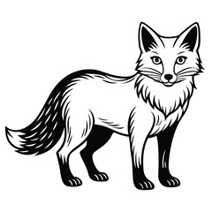 Obraz premium Red Fox vector illustration white background