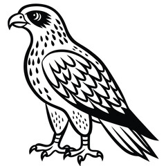 Red -Tailed Hawk vector illustration white background