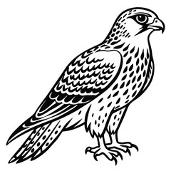 Fototapeta premium Red -Tailed Hawk vector illustration white background