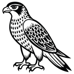 Red -Tailed Hawk vector illustration white background