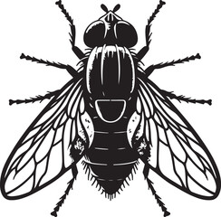 Simple Black House Fly Insect Vector