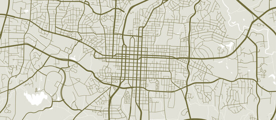 Fototapeta premium Vector map of Raleigh, USA, State of USA. Street map art poster illustration.