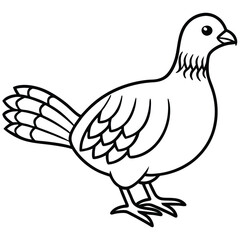 Ruffed Grouse vector illustration white background