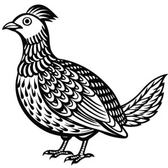 Ruffed Grouse vector illustration white background