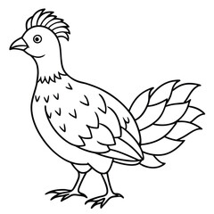 Ruffed Grouse vector illustration white background