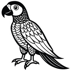 Fototapeta premium Scarlet Macaw vector illustration white background