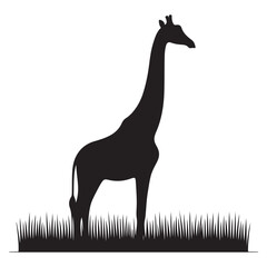Tall Black Giraffe Silhouette Vector Illustration