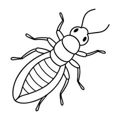 Termite vector illustration white background