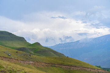 Fototapeta premium Vast green hills under a cloudy sky in a mountainous landscape during the day