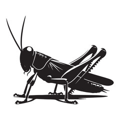 Detailed Black Grasshopper or Locust Vector Silhouette