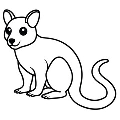 Tree Kangaroo vector illustration white background